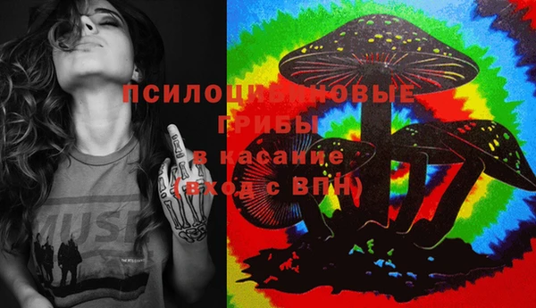 МДПВ Алзамай