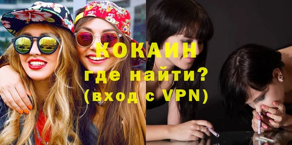МДПВ Алзамай