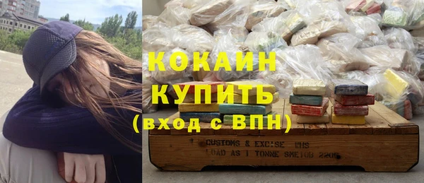 трава Осинники